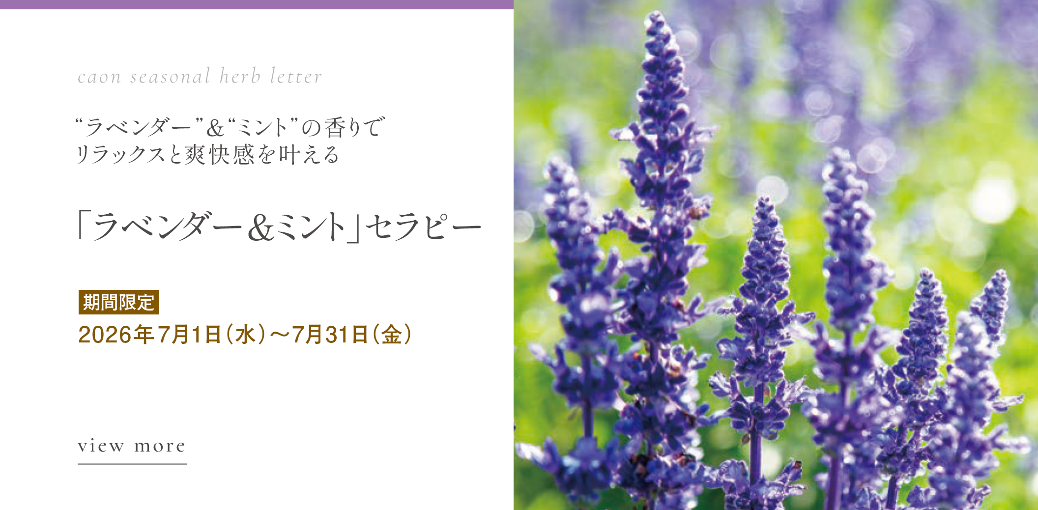 「 ラベンダー＆ミント」セラピー