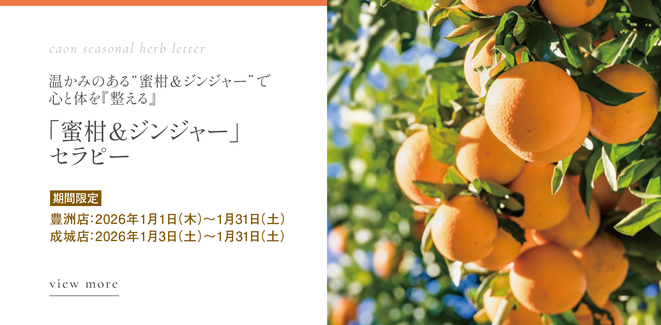 「蜜柑＆ジンジャー」セラピー