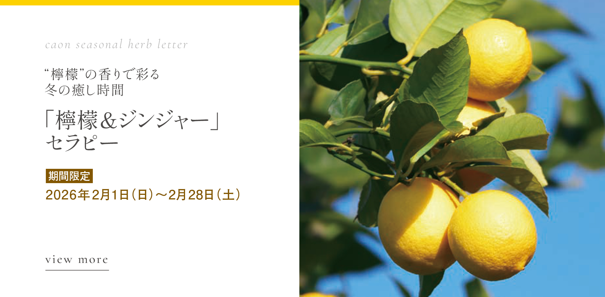 「檸檬&ジンジャー」セラピー