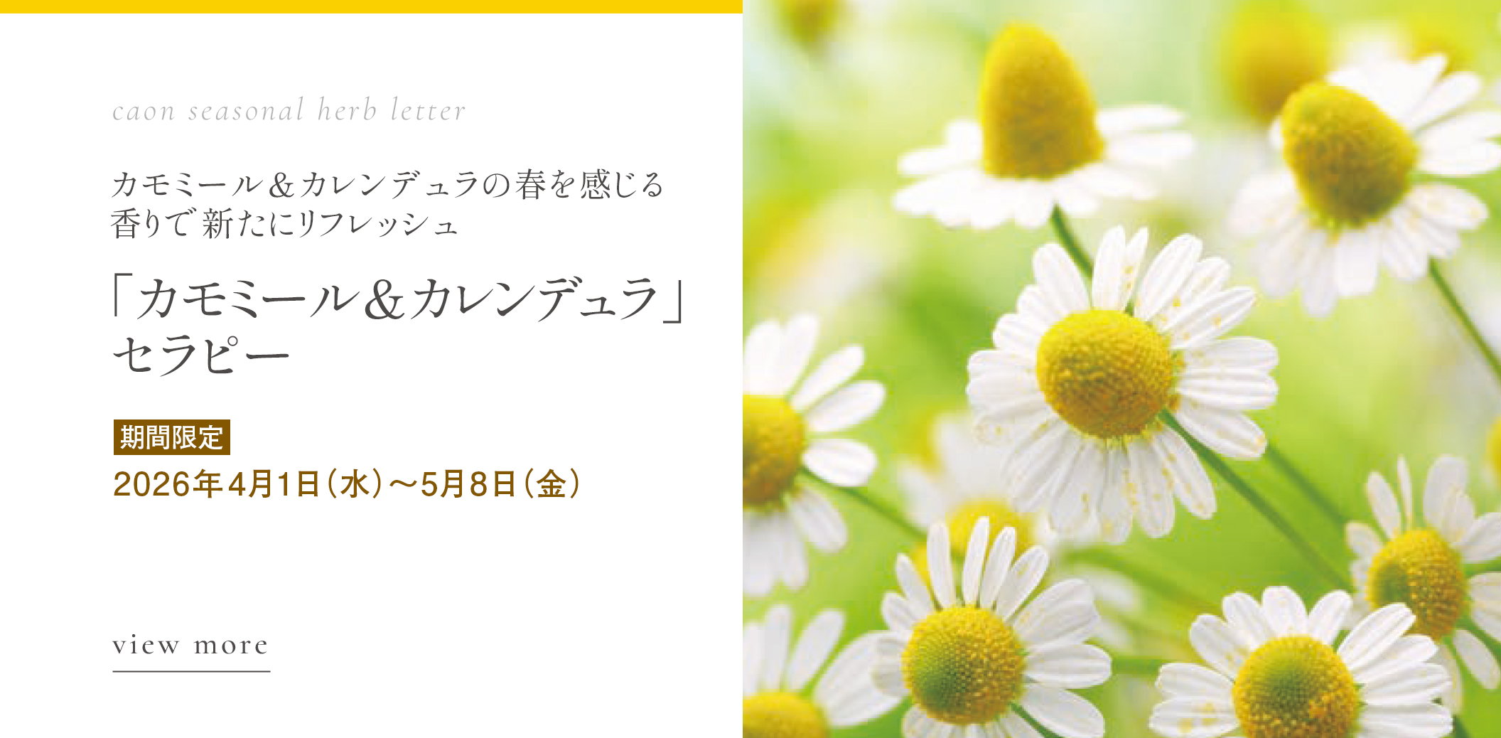 「カモミール&カレンデュラ」セラピー