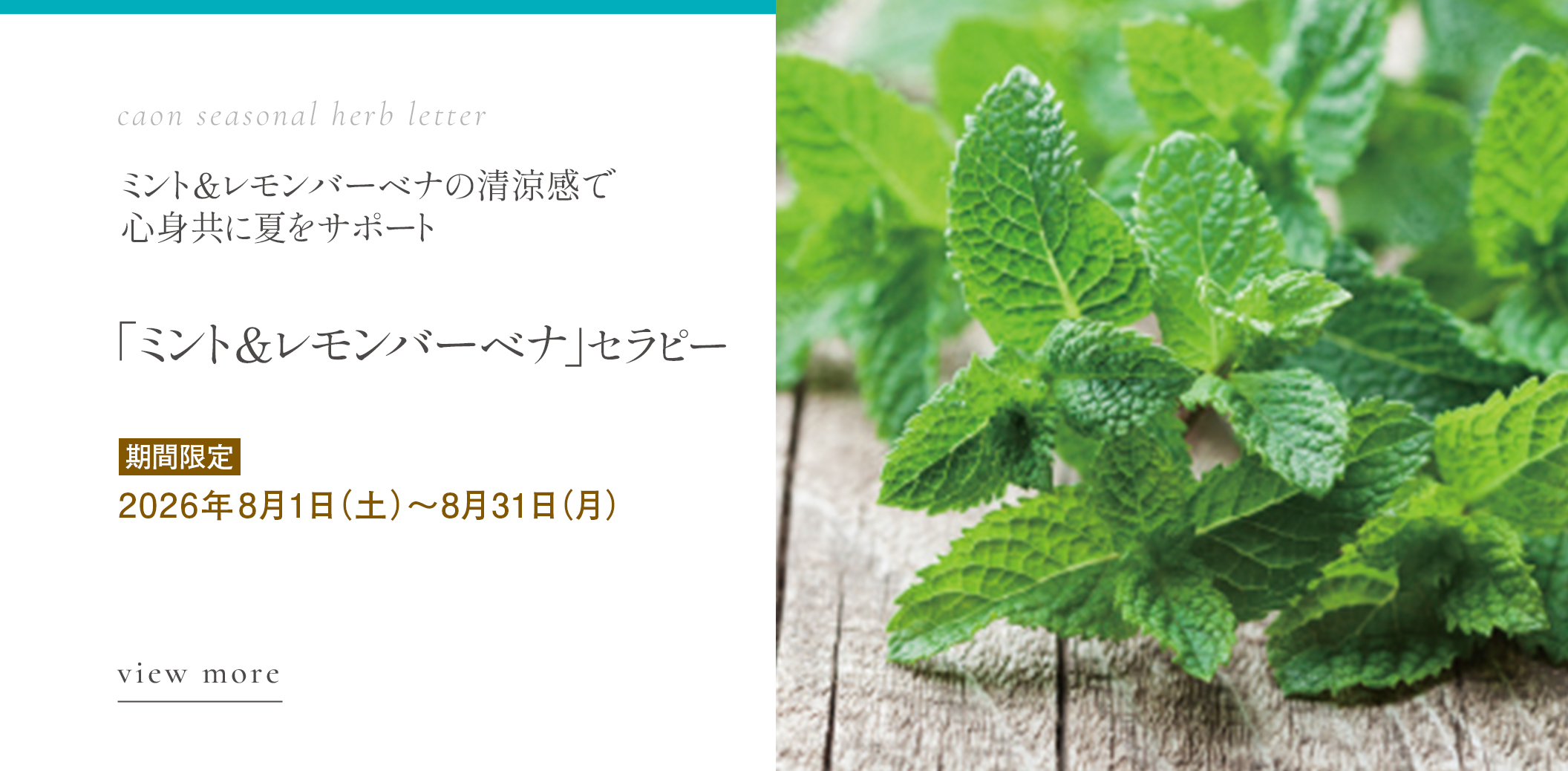 「 ミント＆レモンバーベナ」セラピー