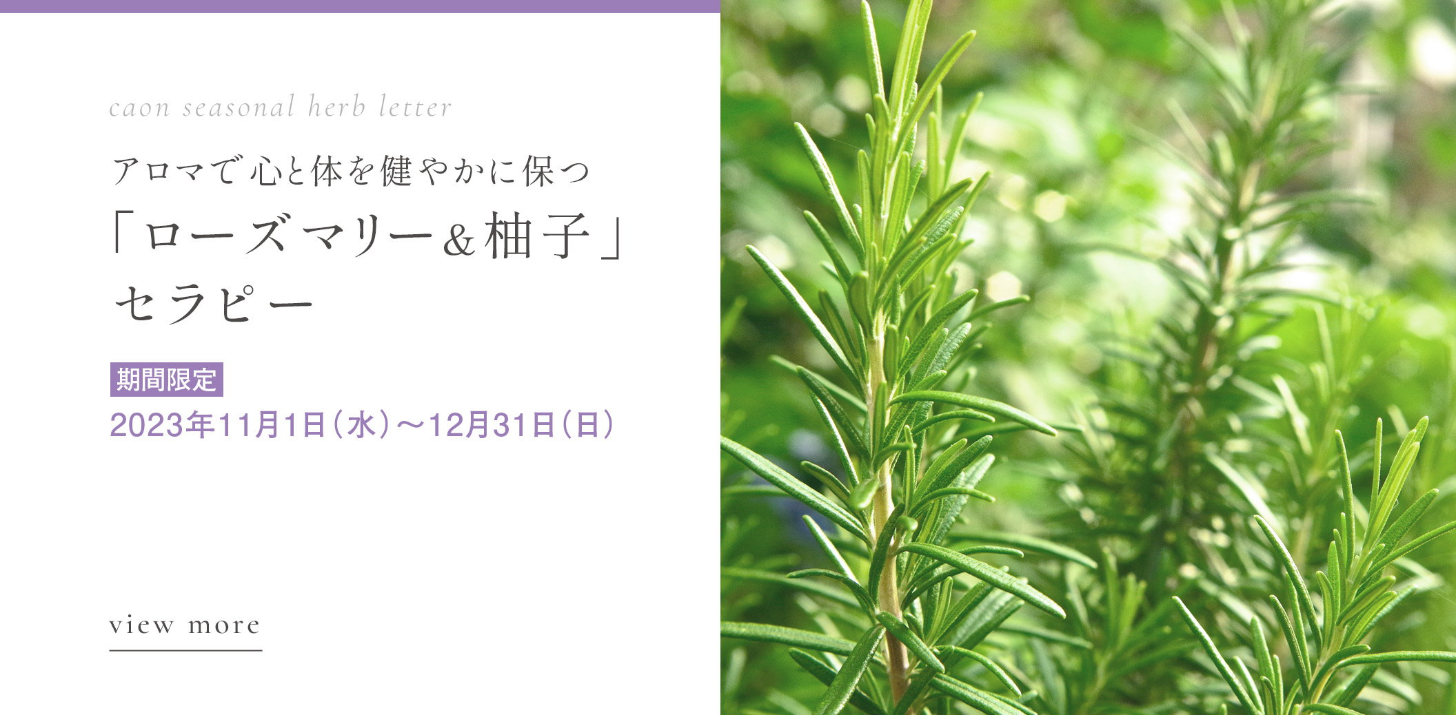 期間限定ゼラニウム＆ローズセラピー