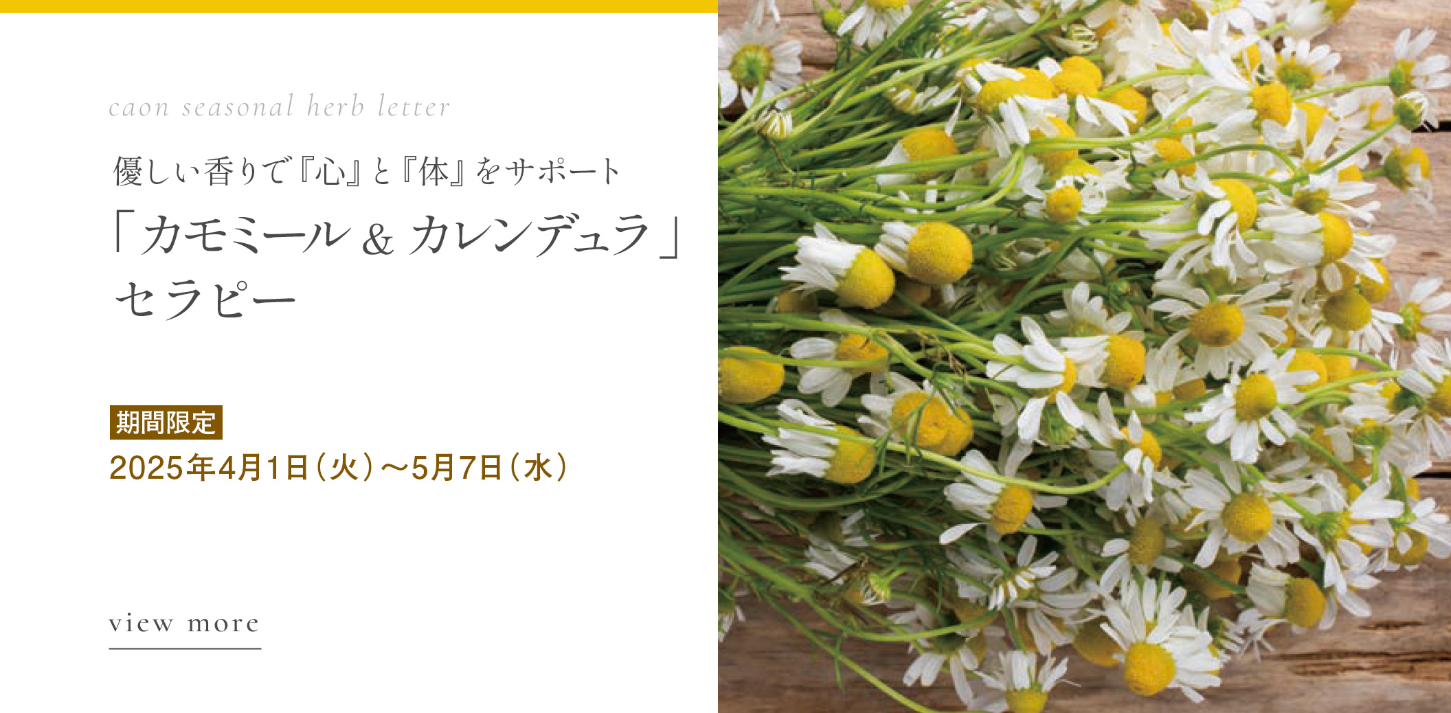 「カモミール＆カレンデュラ」セラピー